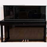 Černý pianino s vysokým leskem. Na středové části pod víkem je umístěno malé bílé logo ve tvaru stylizovaného písmena. Nástroj má tři pedály v dolní…