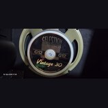 Fotografie zachycuje reproduktor s béžovým kovovým rámem. Na středovém krytu je černý štítek s nápisy CELESTION LOUDSPEAKERS, G12, Vintage 30 a v dol…