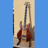 Kytara s hnědým dřevěným tělem a světlejším pruhem uprostřed. Nástroj má dva humbuckery, čtyři ovládací knofíky a hrazdici mechanismus. Na hlavě i hř…