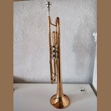 Zlatavá truba s třemi ventily a stříbrným mouthpiecem. Na povrchu zvonu je vyryté nečitelné logo a nápis. Nástroj vykazuje známky používání v podobě…