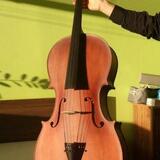 Celomasívní violoncello 4/4