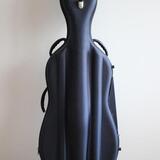 Pevné pouzdro na Violoncello