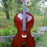 Celomasivní violoncello 7/8