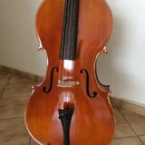 Violoncello