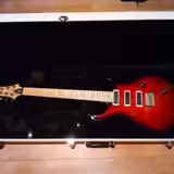 PRS SAS Swamp Ash Special 25th Anniversary Limited
