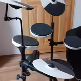 EL. bic&iacute; Roland