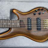 Ibanez výroční série 5 strun