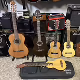 Prodam koncertn&iacute; ukulele, a kytaru, 1/4, 1/2, 3/4, 7/8 a 4/4