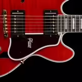 Pickguard, panel neboli slint&aacute;k na ES-339