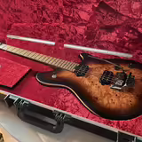 El. kytara EVH Wolfgang Standard Xotic+origo kufr 