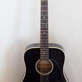 Aria LW15T-B, 12 strunná, made in japan