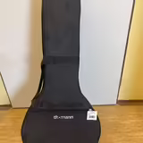 Thomann Mandola Case