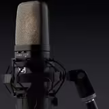 Warm Audio WA 14 (v&yacute;měna možn&aacute;)
