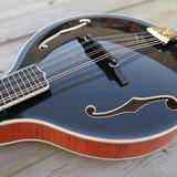 Mandolína A5