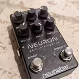 Neunaber Neuron 