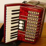 Prod&aacute;m akordeon Delicia Junior IV