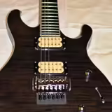 PRS Torero SE Floyd Rose