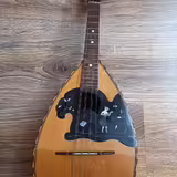 Mandol&iacute;na 