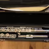 Př&iacute;čn&aacute; fl&eacute;tna Pearl 765 Silver