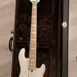 LAKLAND SKYLINE Darryl Jones 5, vč. origo kufru