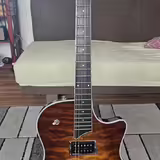 Prod&aacute;m kytaru TAYLOR T3.