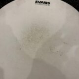 Blány Evans 16”, 12”