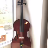 Tř&iacute;strunn&aacute; transylv&aacute;nsk&aacute; viola