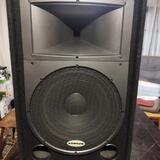 Samson Resound RS 15