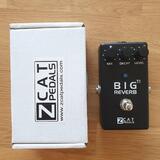 Zcat Big Reverb TI