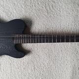 Nehraná barytonová 7strunka ESP LTD TE1007B