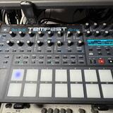 Dave Smith Instruments TEMPEST
