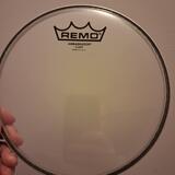 Remo Ambassador 8"