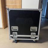 Case