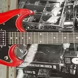 koup&iacute;m Hagstrom F20T