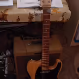 12strunn&yacute; Telecaster