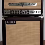 ESH Catr custom 30 W + GX 112  60