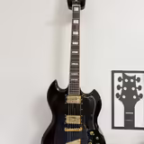 Guild Polara Kim Thayil