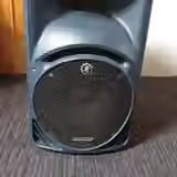 Mackie SRM450