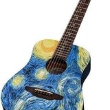 Luna  Travel Starry Night
