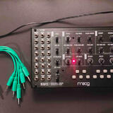 Moog Mavis