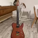 Godin ARTISAN TC r.v. 1991