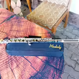 Př&iacute;čn&aacute; fl&eacute;tna 