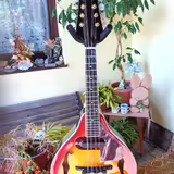 Elektroakustick&aacute; mandol&iacute;na 