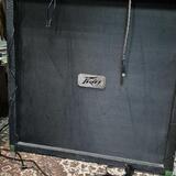 PEAVEY Valveking + Peavey box