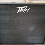PEAVEY EXCENTIAL CABINET