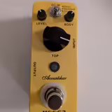 MOOER Acoustikar