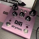 Strymon DIG V1 - (high-end dual digital delay)