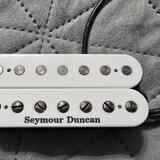 Seymour Duncan Jeff Loomis Noumenon Bridge White 7