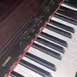 Casio AP21 digital piano