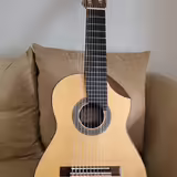 Alto Guitar